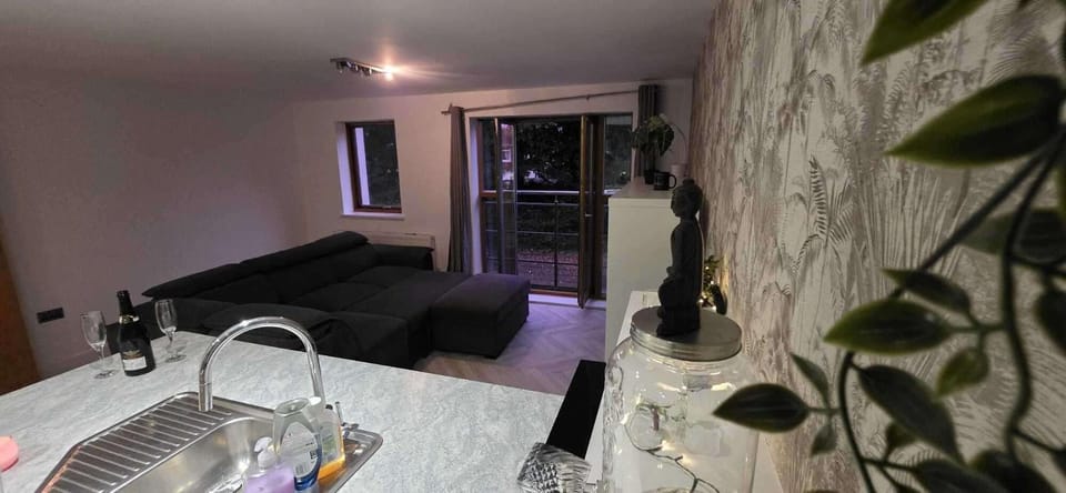 Bed, Kitchen or kitchenette, Living room, Seating area