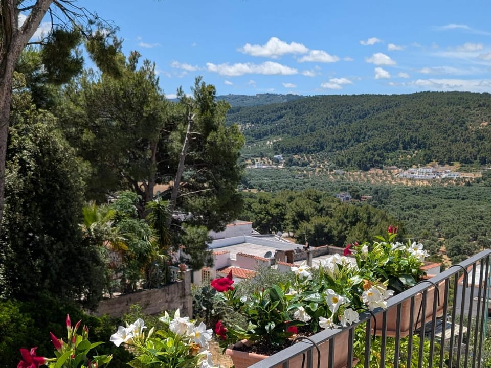Patio, View (from property/room)