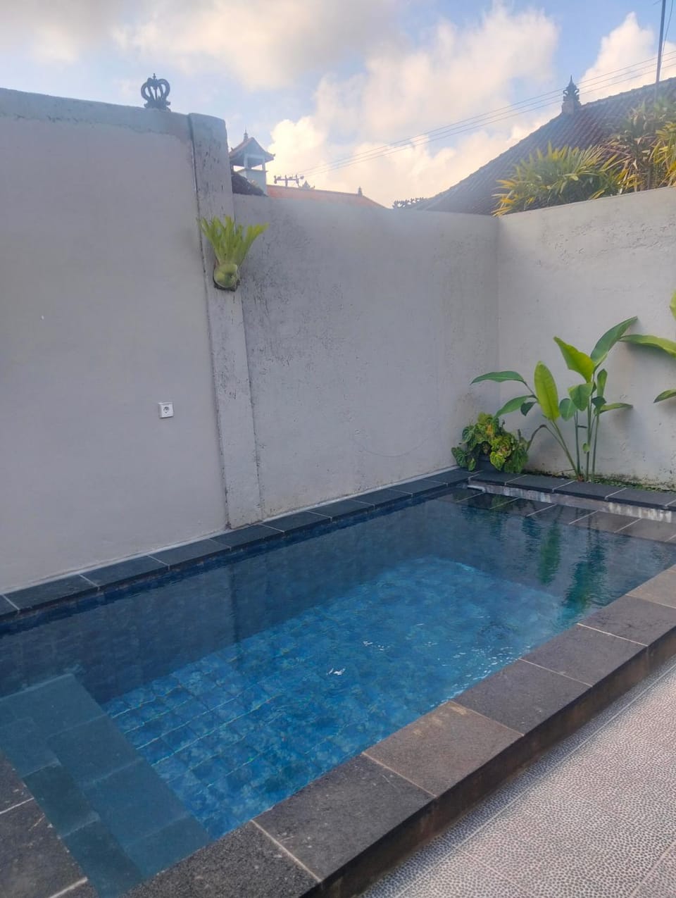 griya Lokasari 2 bed room pool villa Bed and Breakfast in Ubud