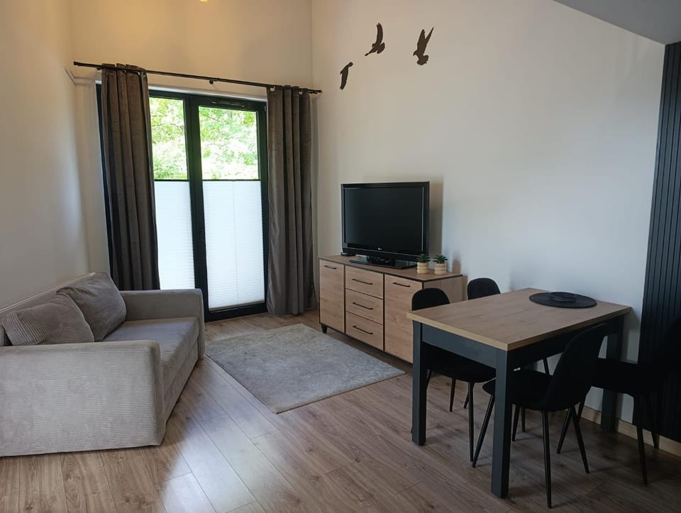 Communal lounge/ TV room, TV and multimedia, Living room, Seating area, Evening entertainment