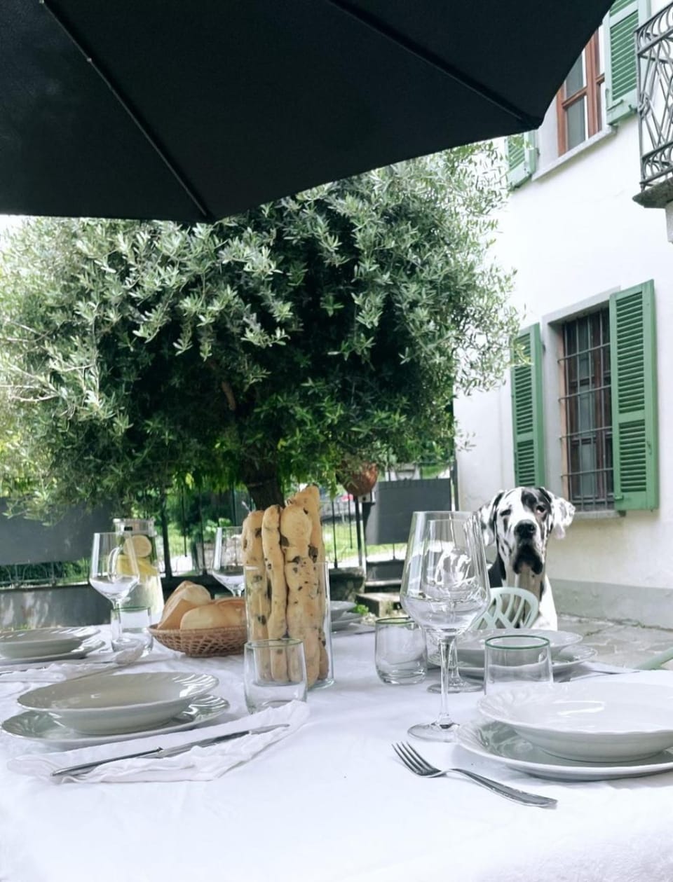 Day, Garden, Garden, Dining area, Garden view