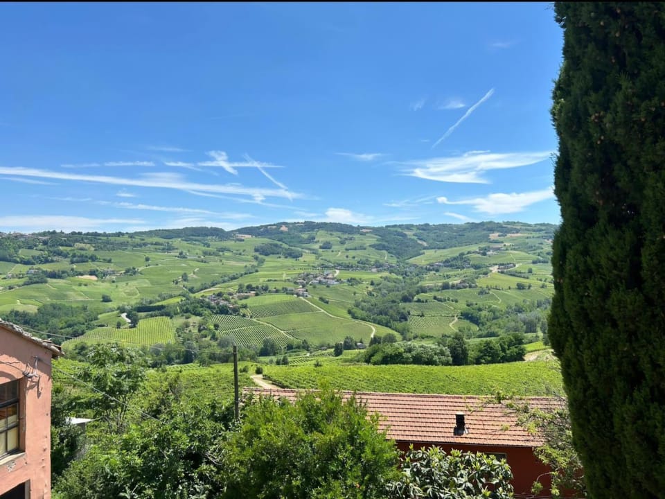 Spring, Day, Natural landscape, Garden, Mountain view