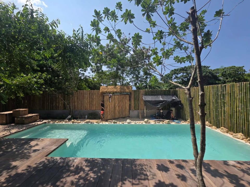 Pool view, Swimming pool