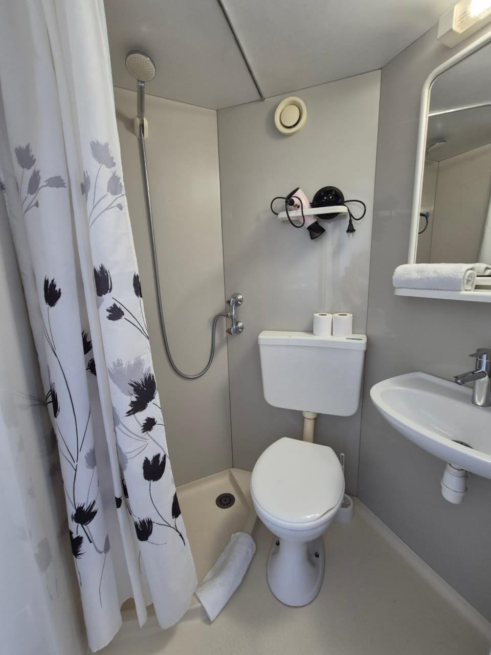Shower, Toilet, Bathroom, towels
