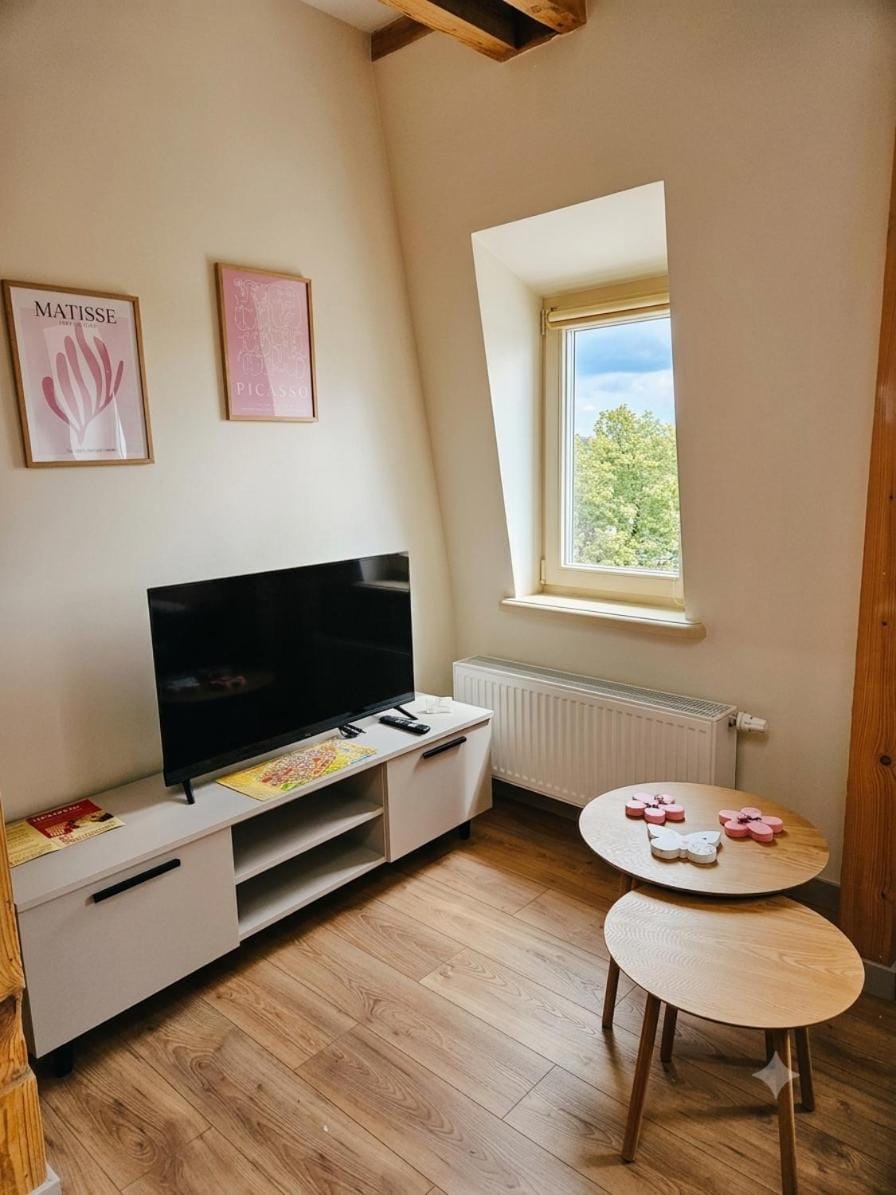 Rosette Rose AC Progres Apartment in Poland
