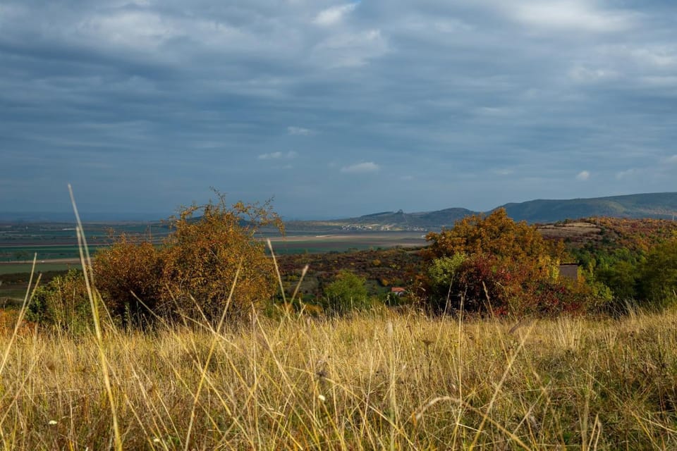 Day, Natural landscape, Mountain view