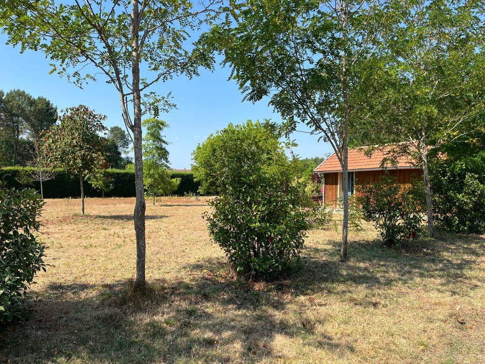 Studio domaine d'Once Apartment in Sanguinet