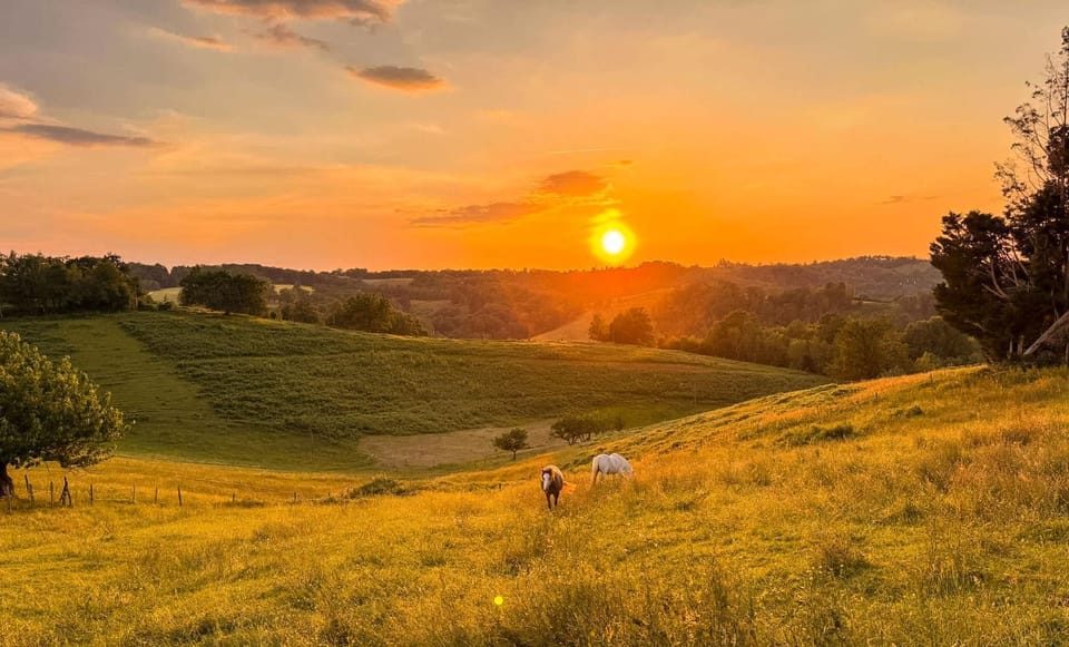 Homnest - Collines Emeraudes - 30 min Pau House in Nouvelle-Aquitaine