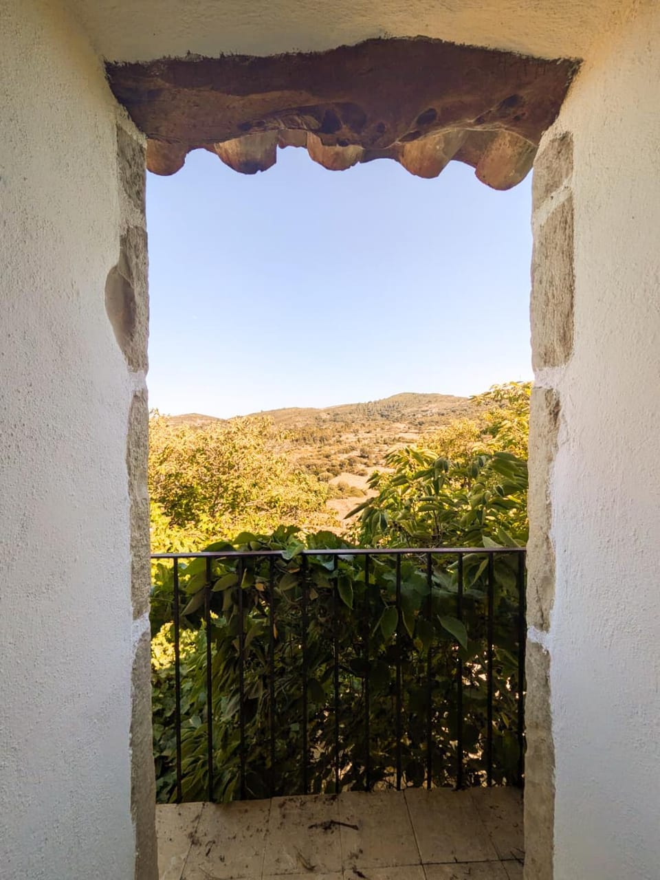 Garden view, Garden view