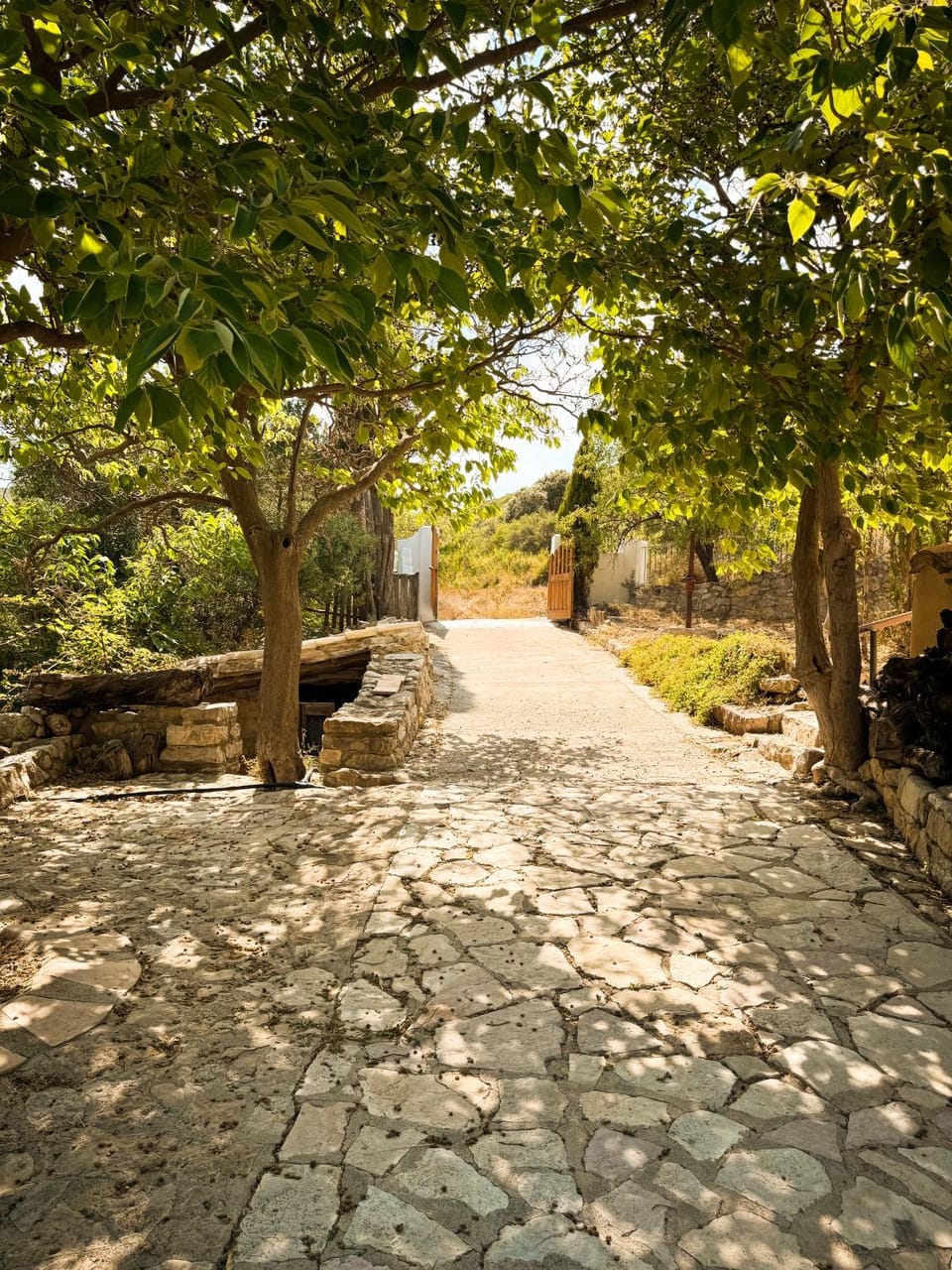 Off site, Garden, Garden