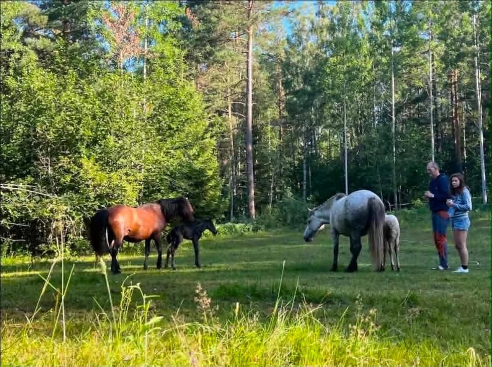 opplevelses hytta badestamp ridning osv Campground/ 
RV Resort in Viken, Norway