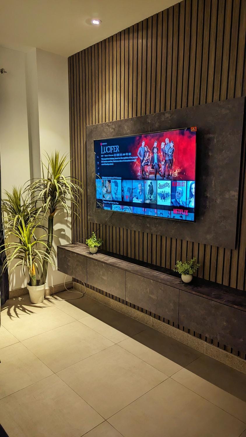TV and multimedia