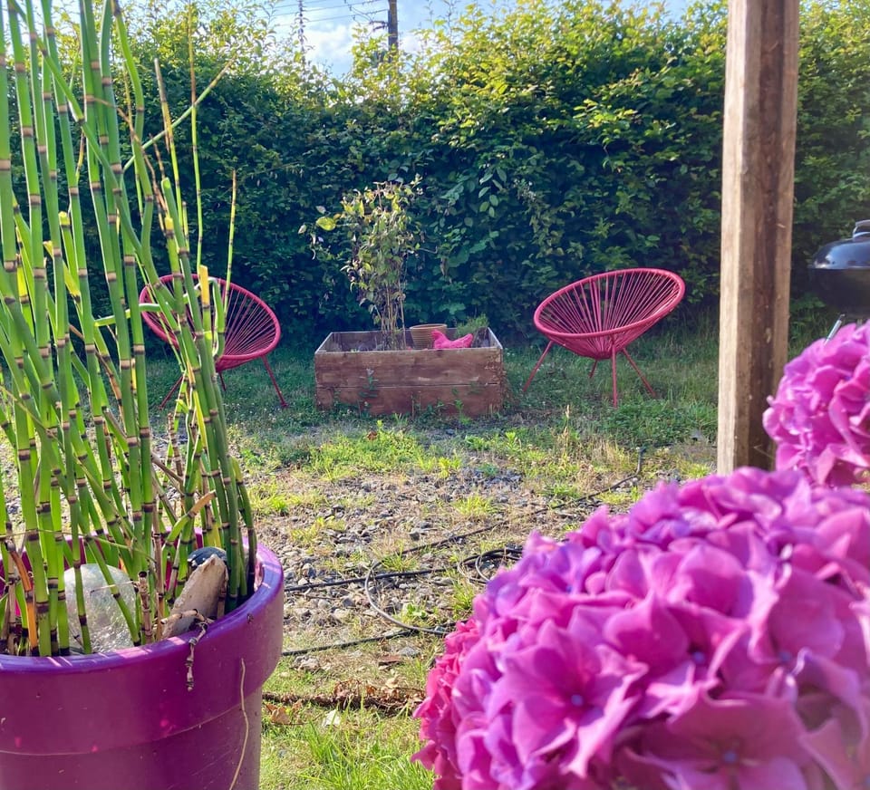 Garden view
