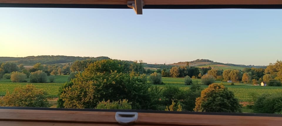 Day, Natural landscape, Bird's eye view, Garden, Garden view, Landmark view