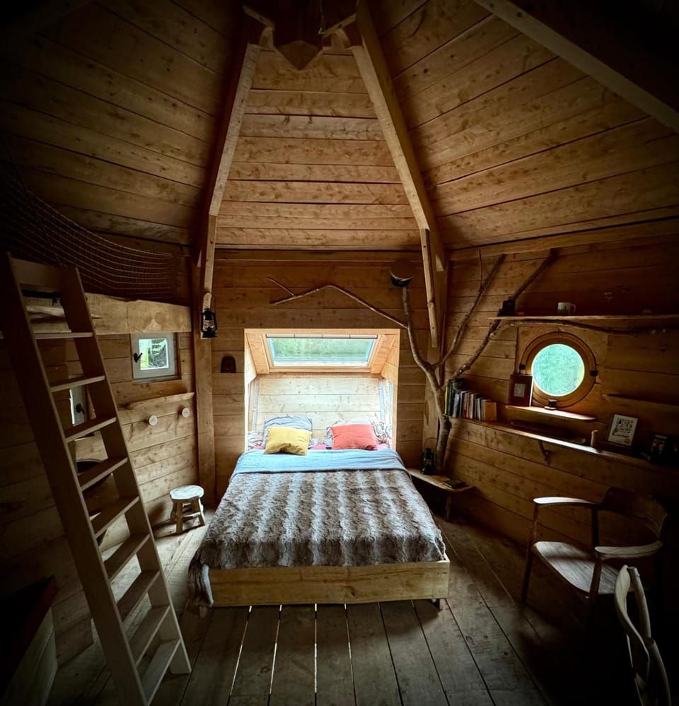 Bed, Photo of the whole room, Bedroom, bunk bed
