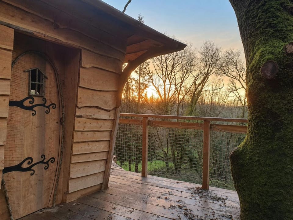 Property building, Patio, Garden view
