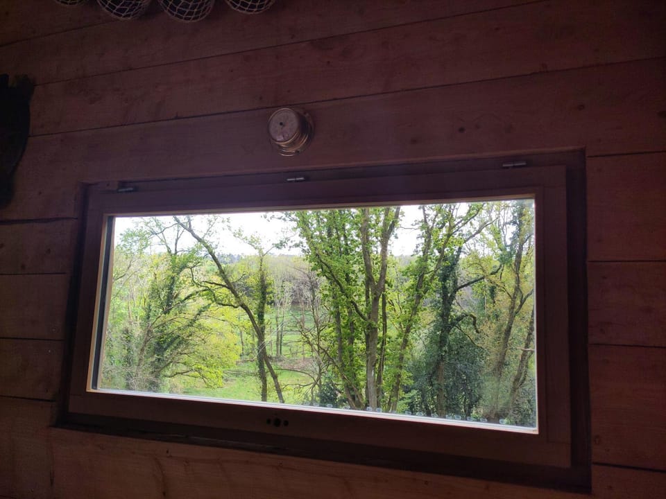 Natural landscape, Garden view, River view