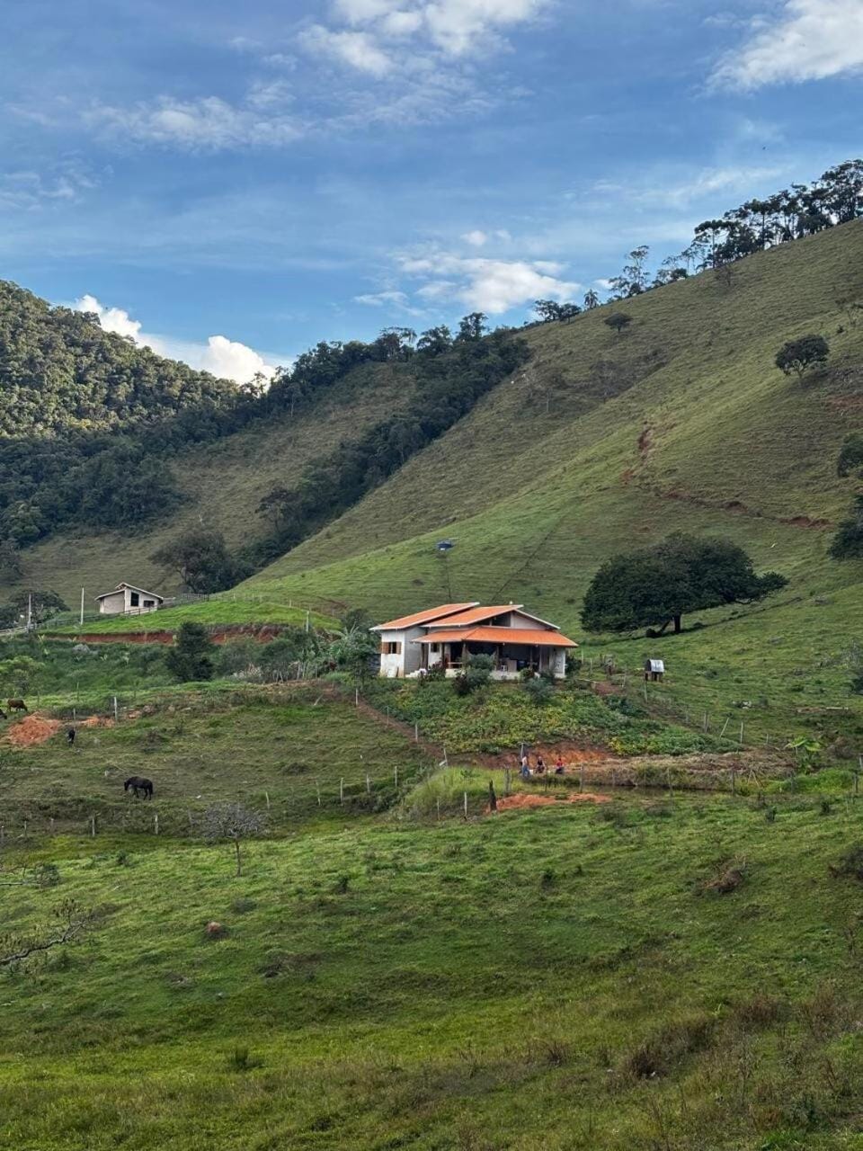 Chalé Araucárias-Recanto dos pássaros Chalet in State of São Paulo