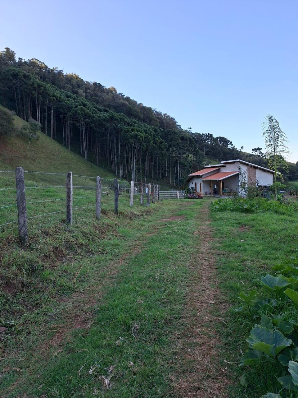 Chalé Araucárias-Recanto dos pássaros Chalet in State of São Paulo