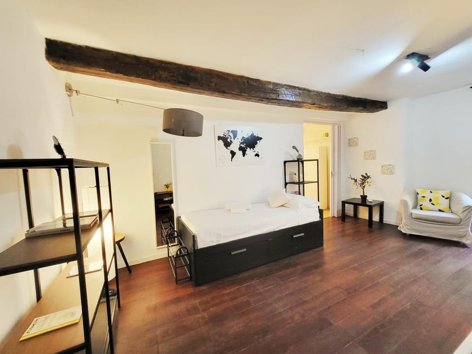 Bed, Living room, Photo of the whole room, Seating area, Bedroom