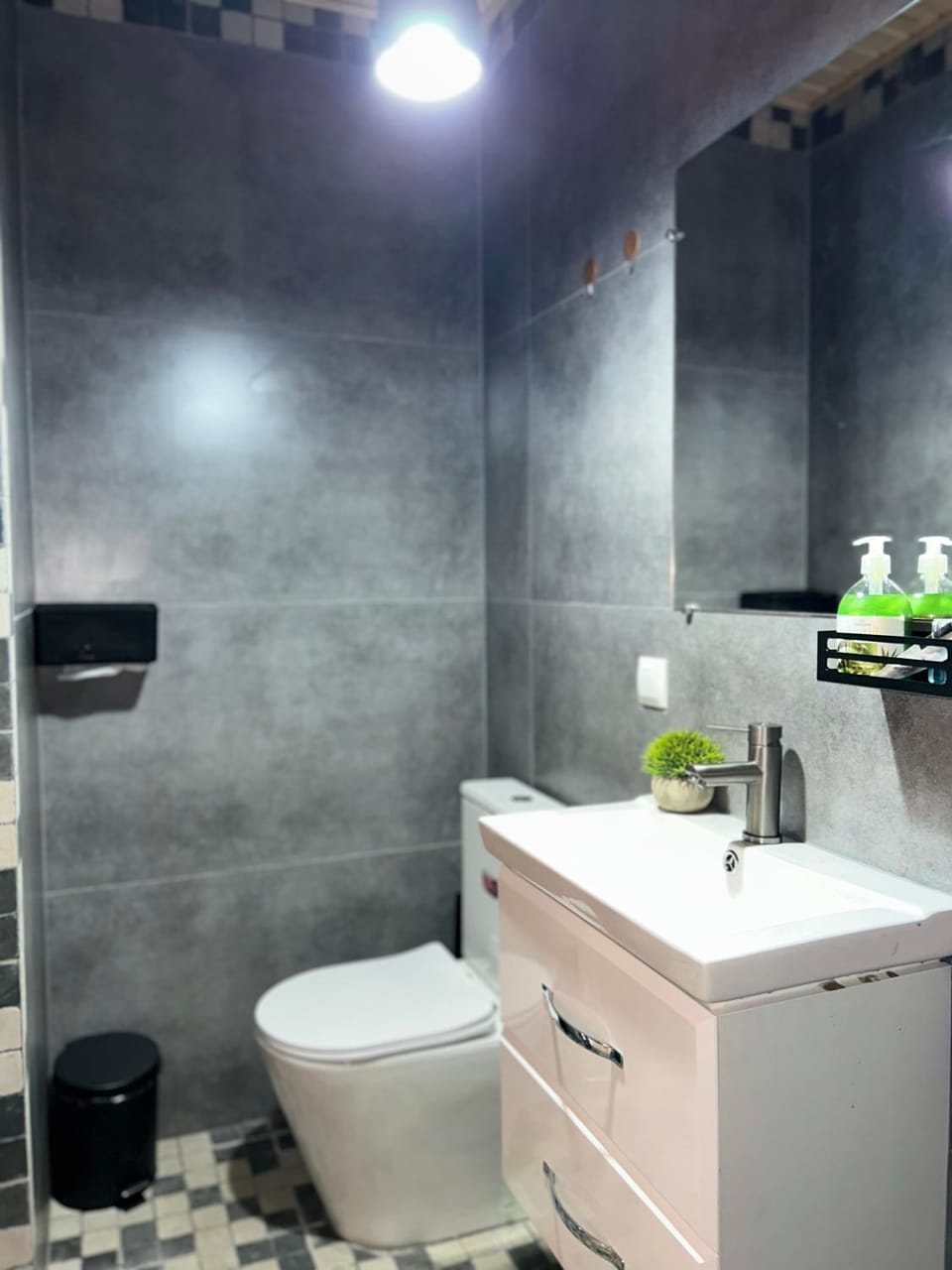 Shower, Toilet