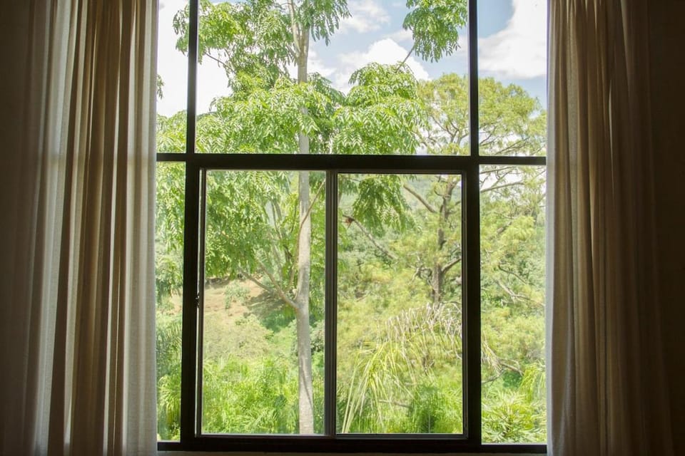 Pine House, Sculpture Garden by the River Apartment in State of Michoacán