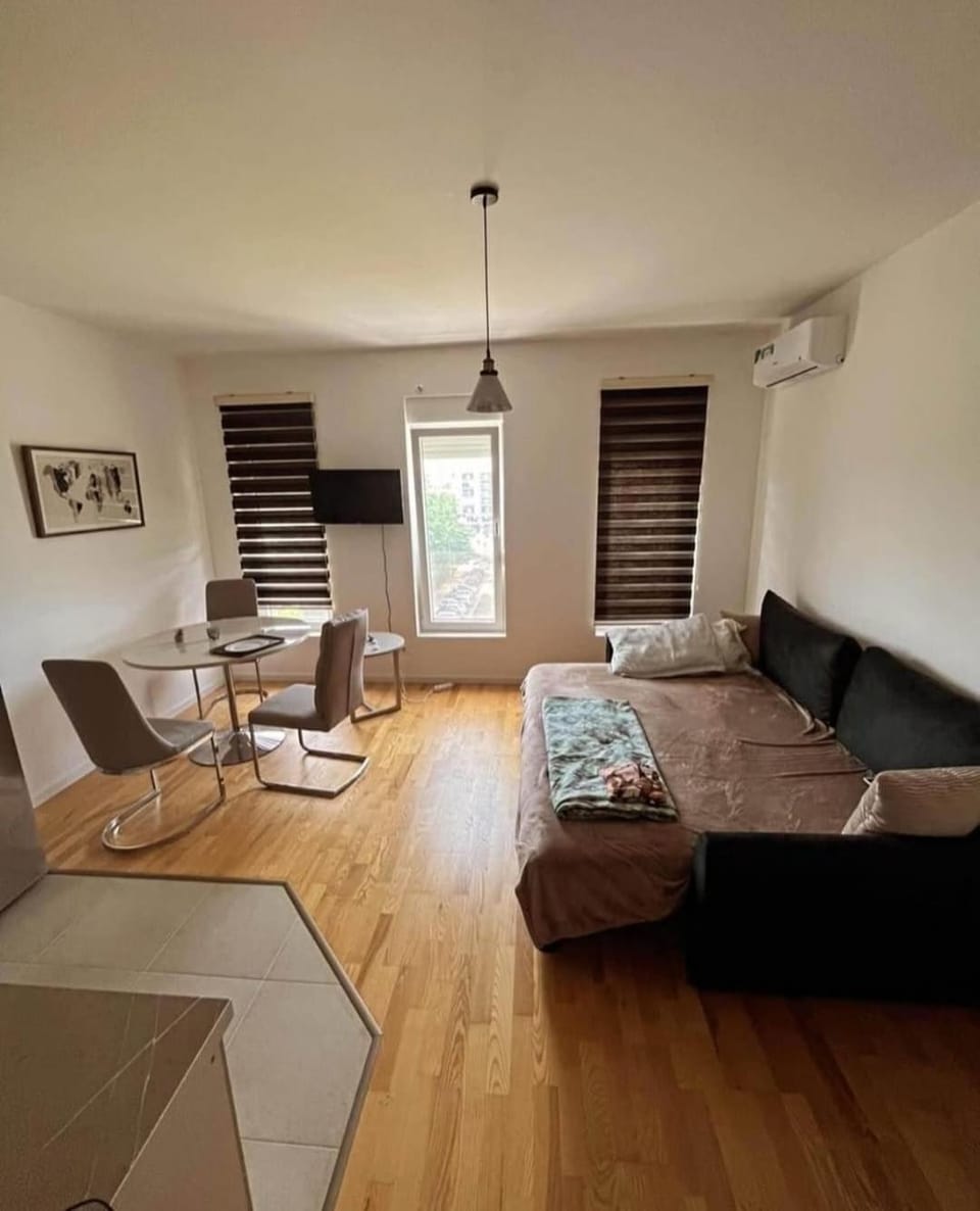 Studio Apartment in Podgorica