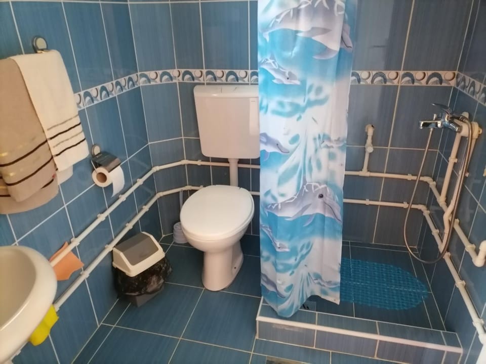 Konak Kik Apartment in Zlatibor District, Serbia