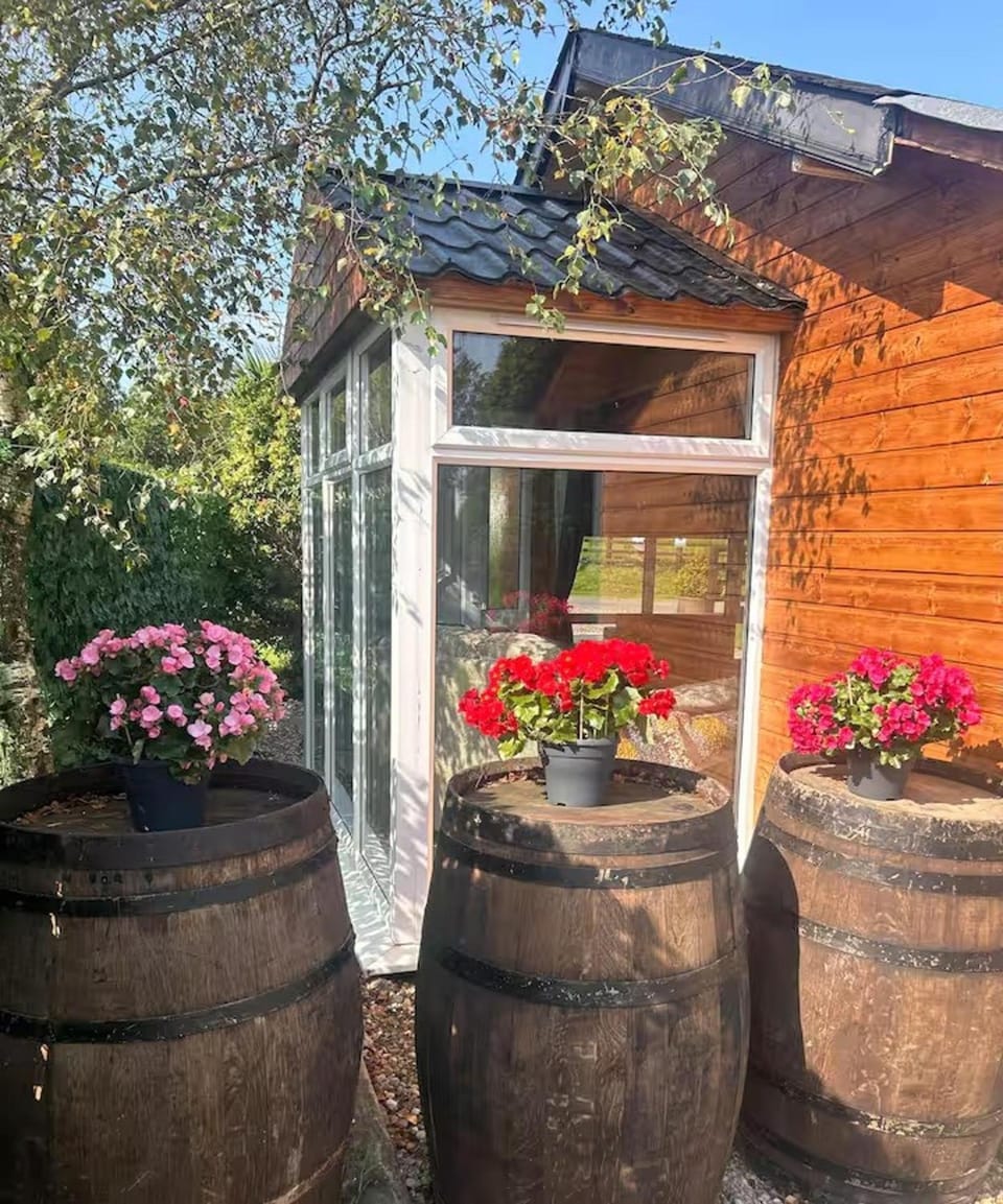 Spring, Day, Garden view