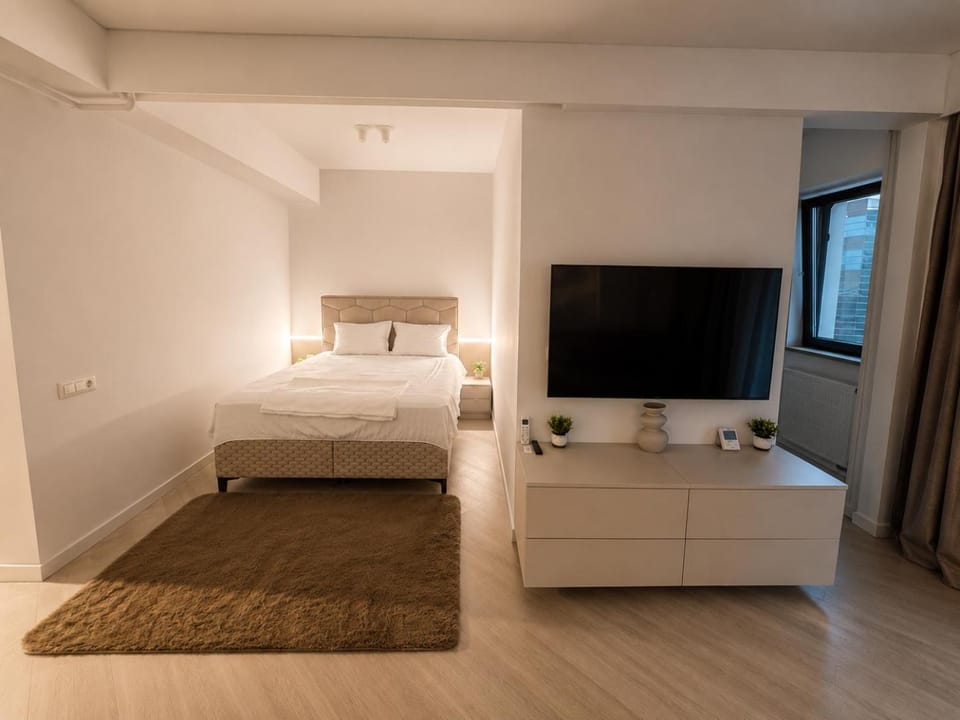 Cortina North Luxury Studio Apartment in Romania