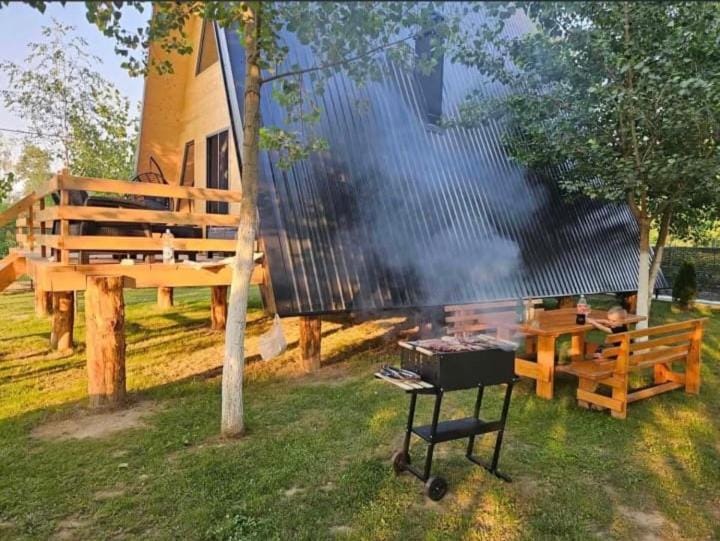 Vila Drinska Prica House in Serbia