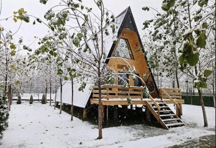 Vila Drinska Prica House in Serbia