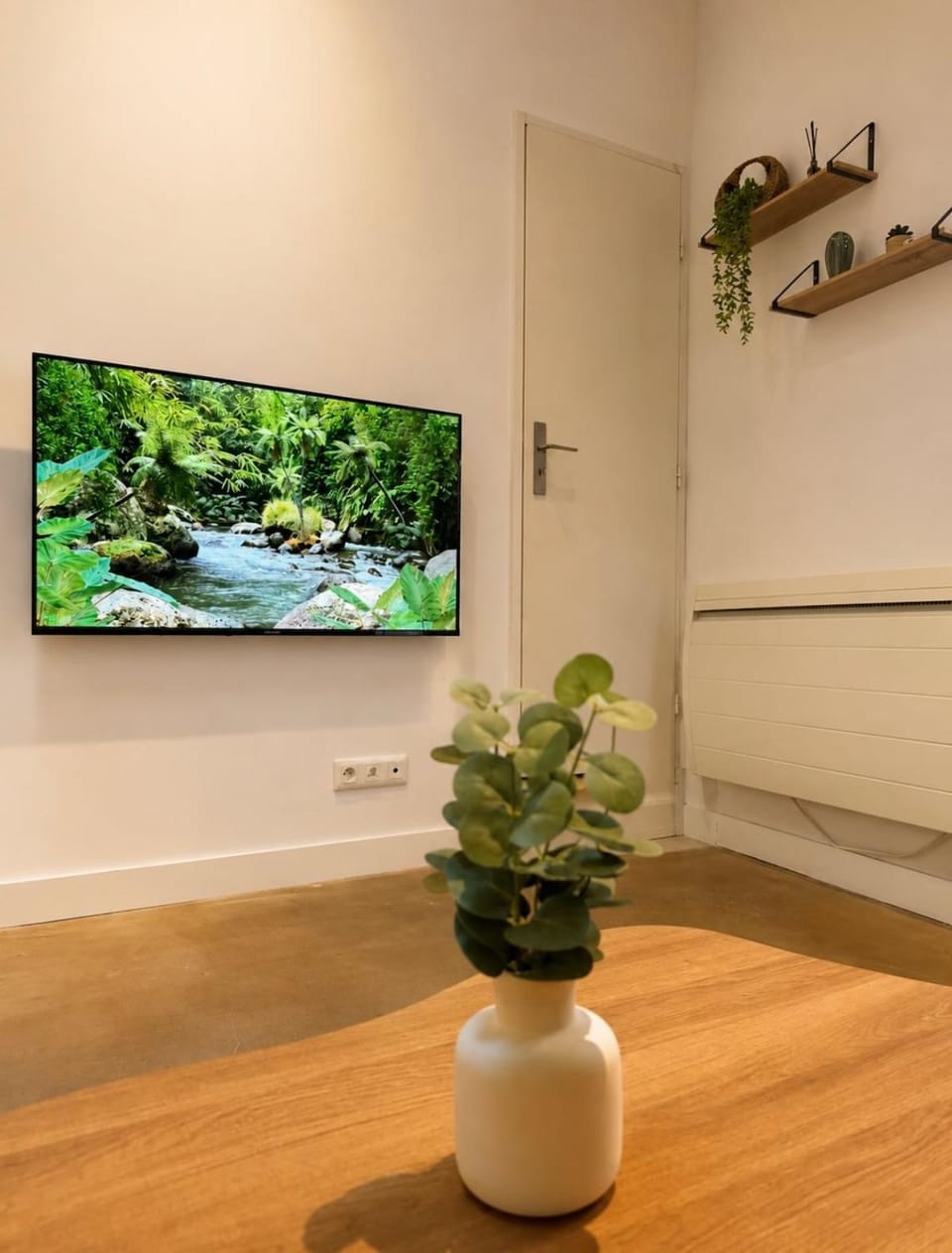 TV and multimedia
