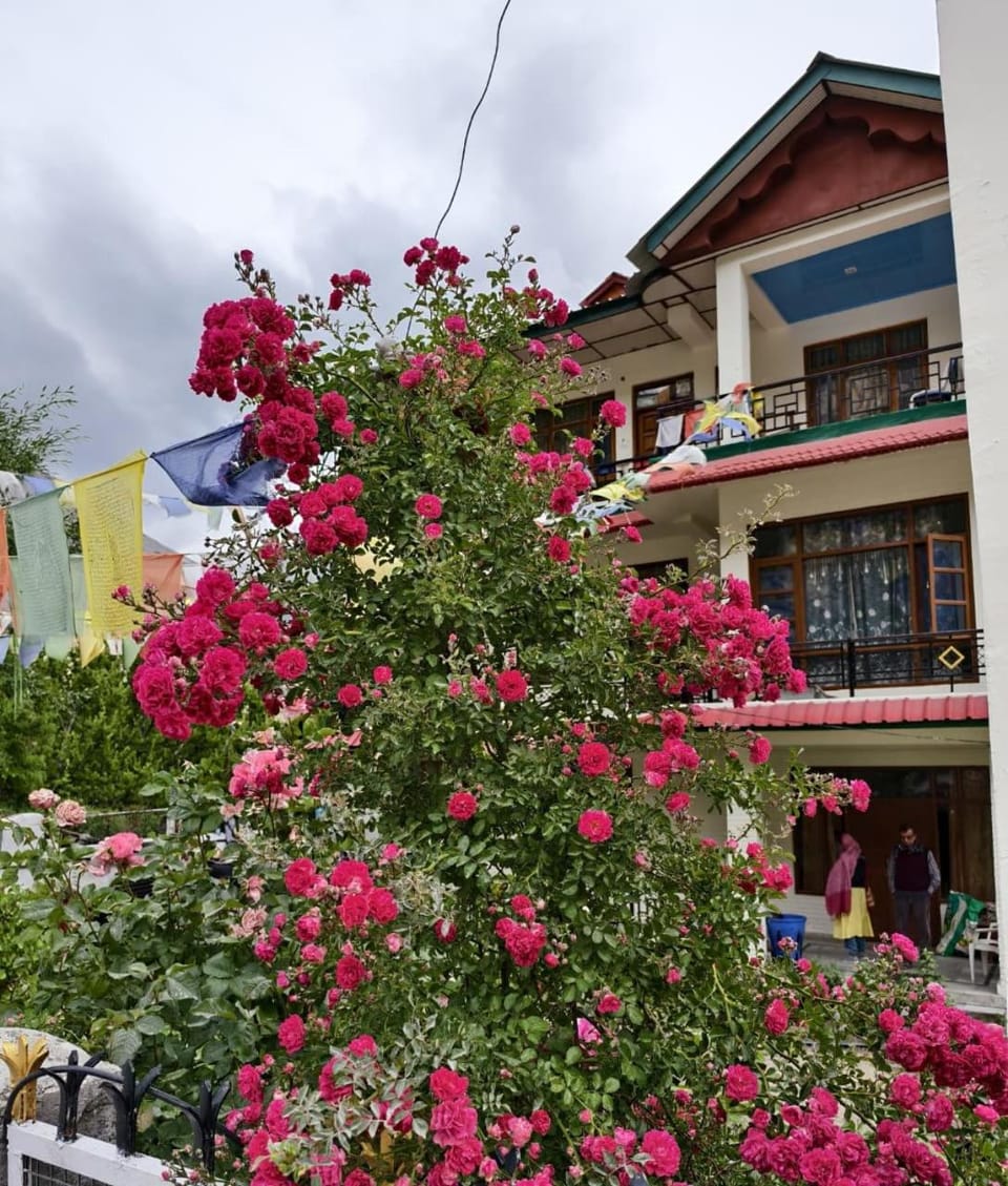 The Moonland Homestay Vacation rental in Himachal Pradesh