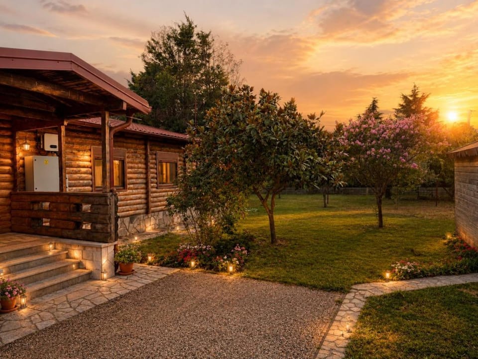 Spring, Day, Natural landscape, Garden, Garden view, Sunset