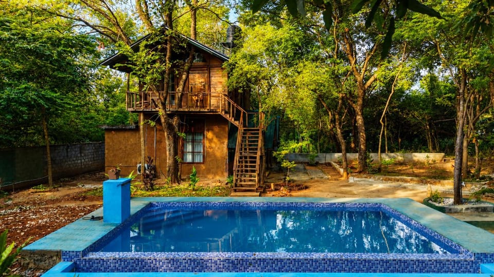 Property building, Day, Garden, Garden view, Pool view, Swimming pool