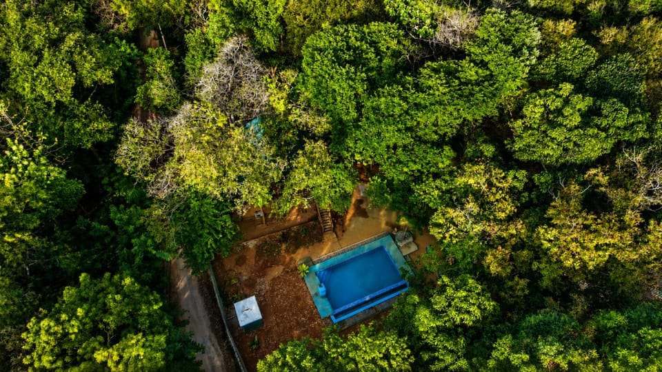Day, Natural landscape, Bird's eye view, Pool view, Swimming pool