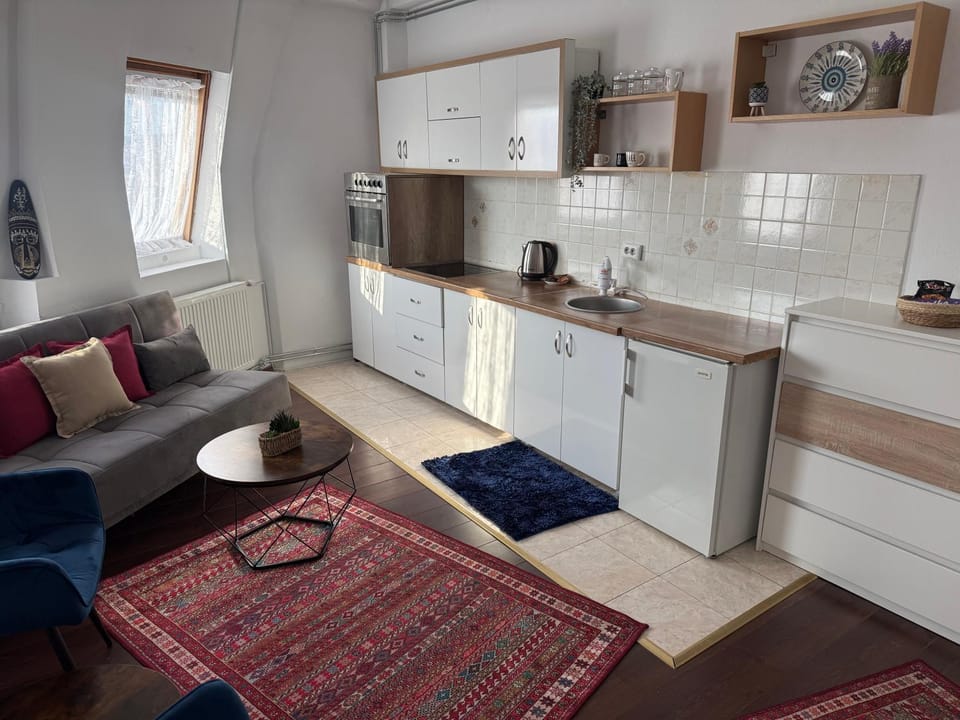Ana's City Center Apartment Apartment in Serbia