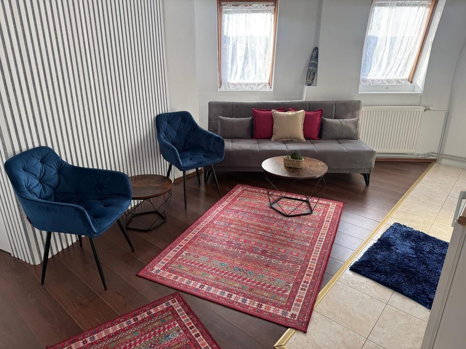 Ana's City Center Apartment Apartment in Serbia