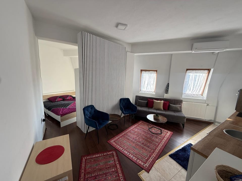 Ana's City Center Apartment Apartment in Serbia