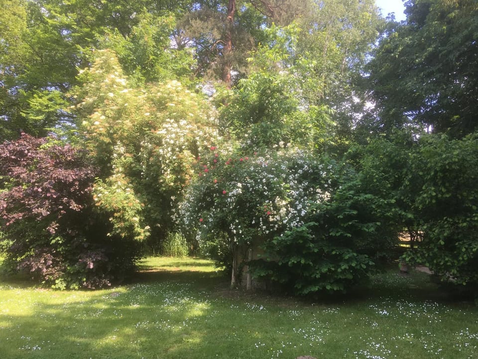 Domaine De Chantemerles House in Fontainebleau