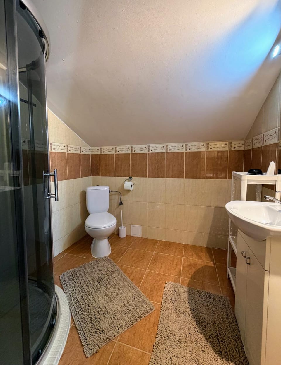 Shower, Toilet, Bathroom