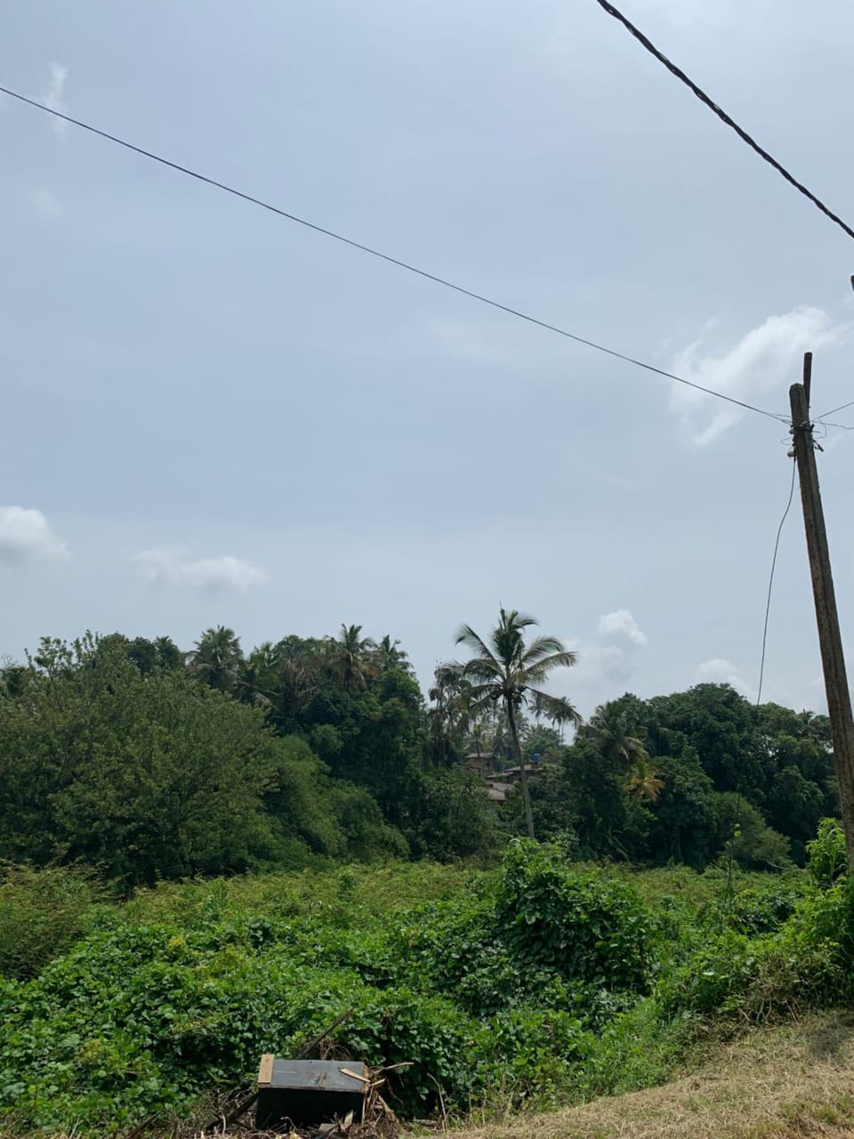Natural landscape