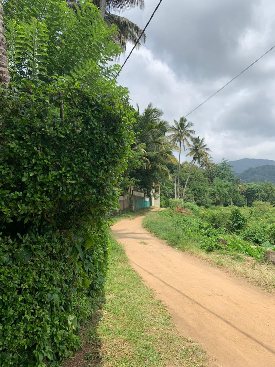 Natural landscape