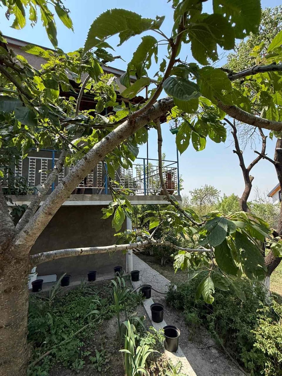 Вилла Дзорахпюр Nature lodge in Armenia