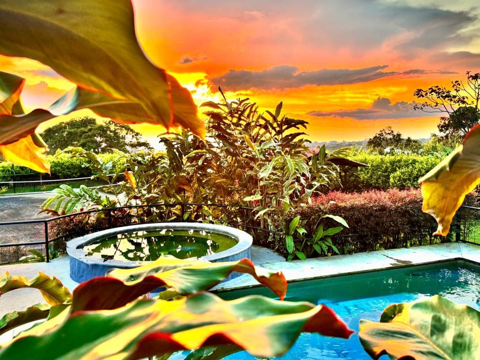 Day, Natural landscape, Garden, Garden, Hot Tub, Garden view, Pool view, Swimming pool, Sunset
