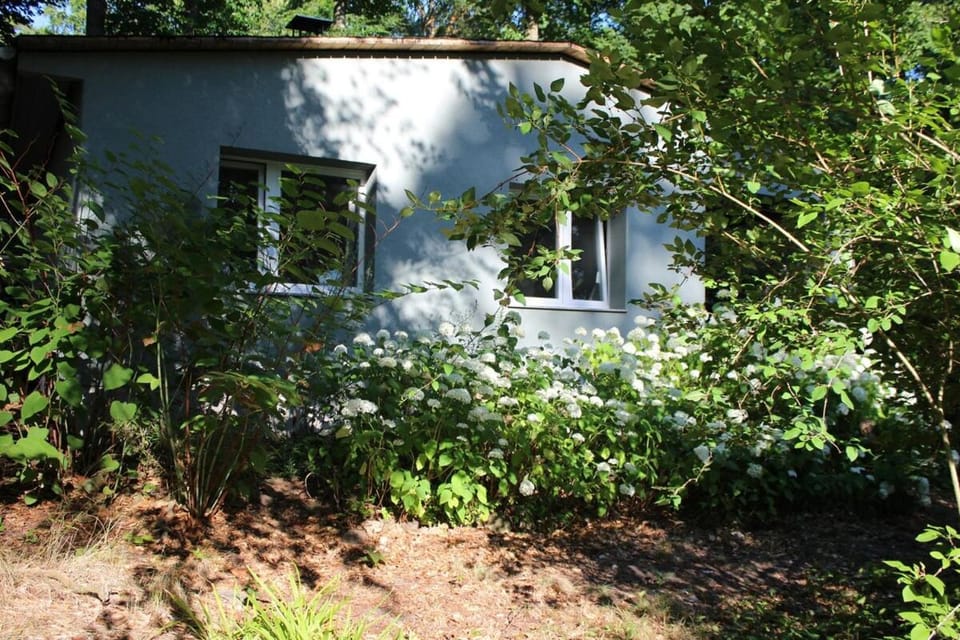 Property building, Garden view