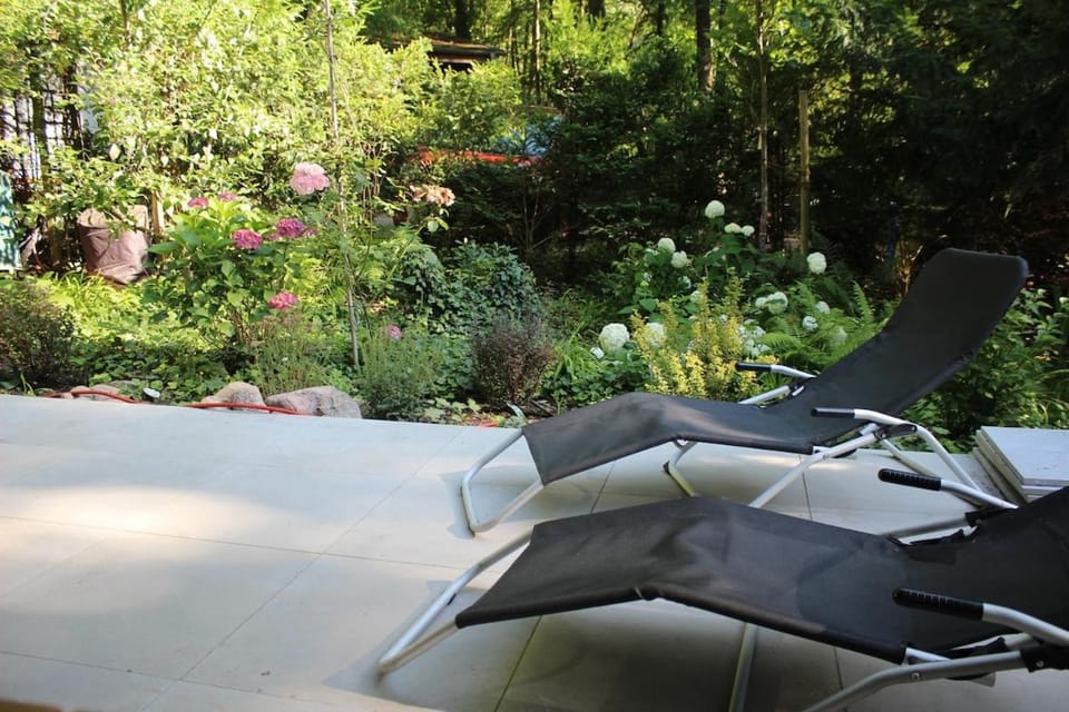 Garden, Garden view, sunbed