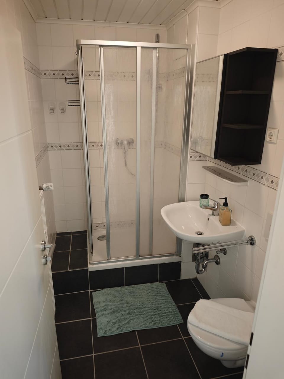 Monica Inn Apartment in Passau