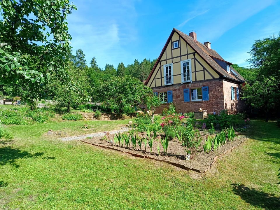 Property building, Garden view